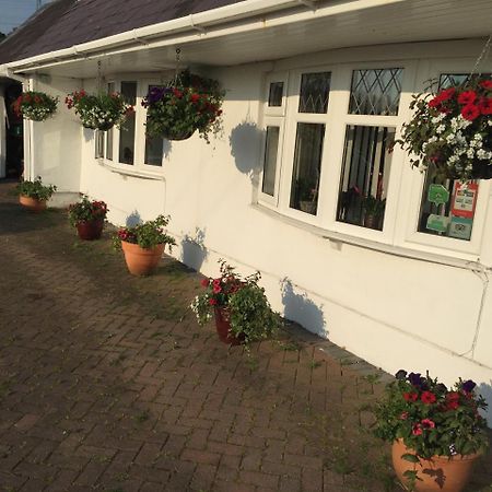 Brynawel Farm B&B Pontlliw ภายนอก รูปภาพ