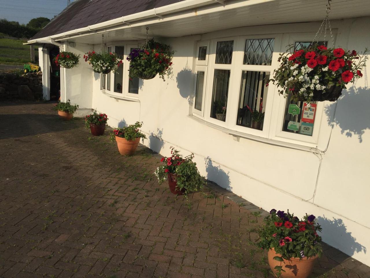Brynawel Farm B&B Pontlliw ภายนอก รูปภาพ